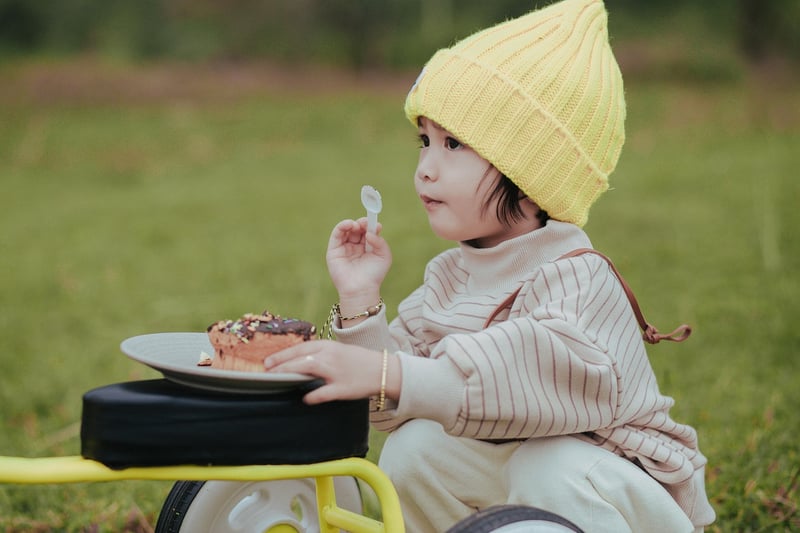 Gourmet Picnic